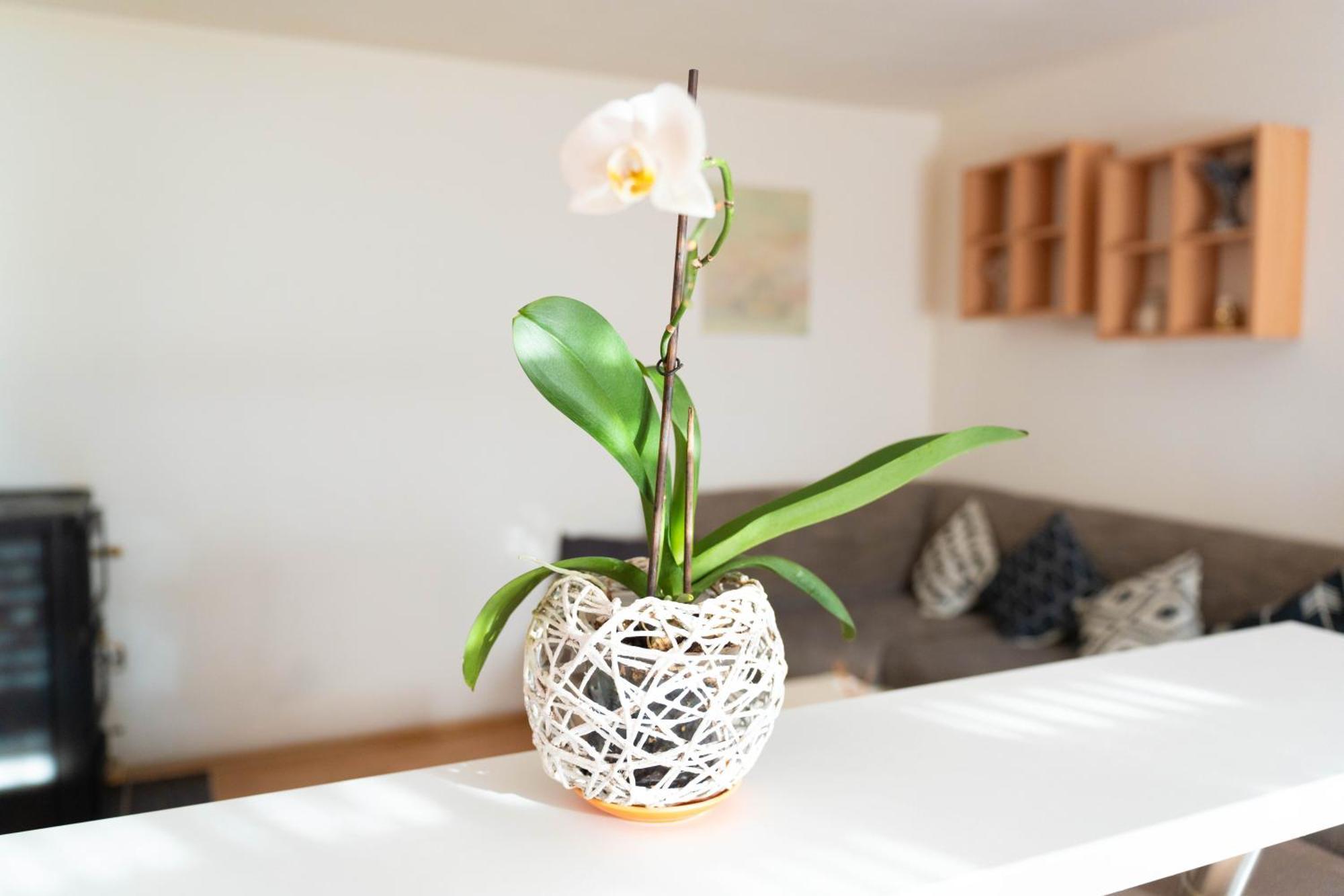 Apartman Lili 크닌 외부 사진